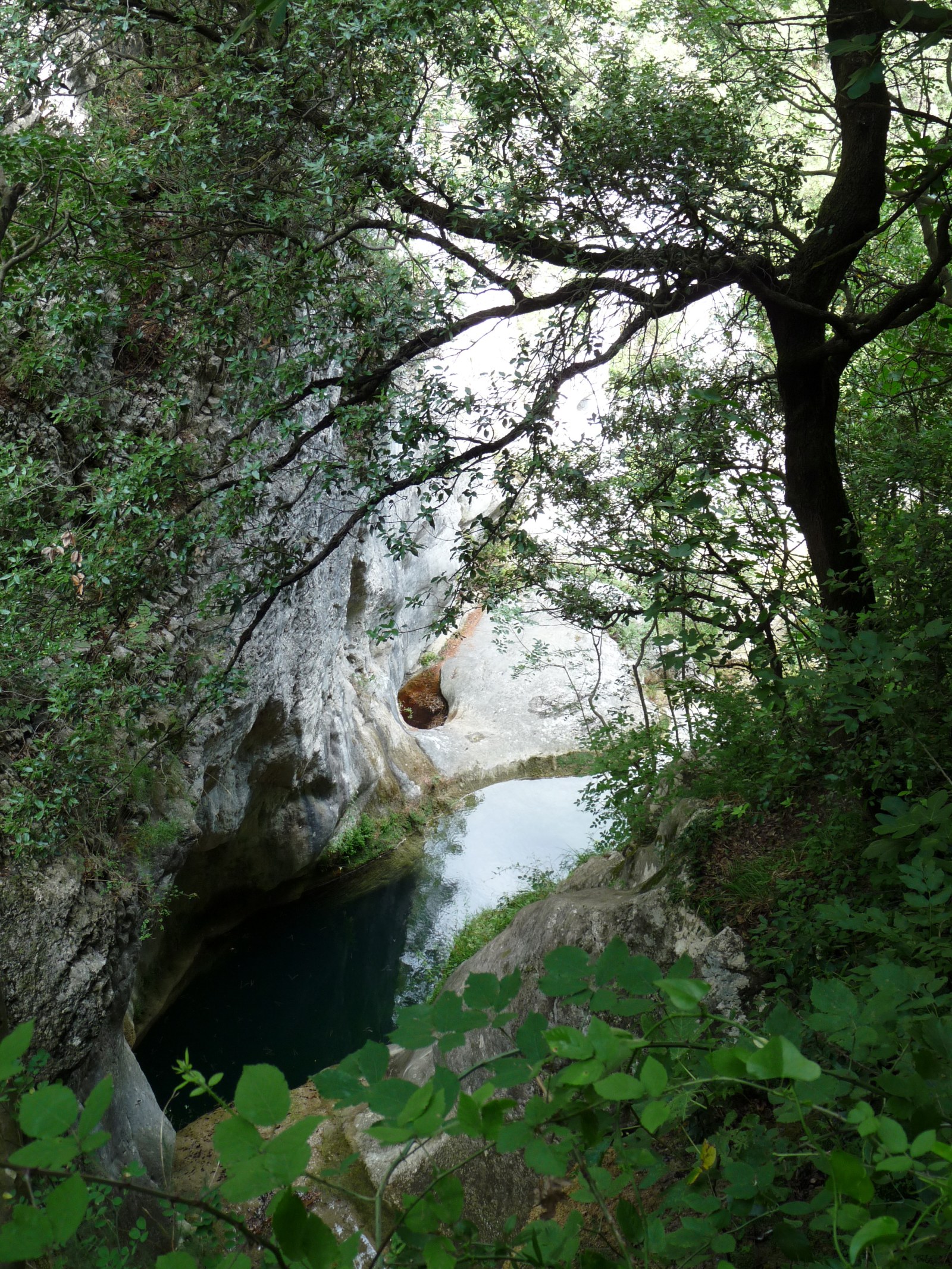 JK Kvarner