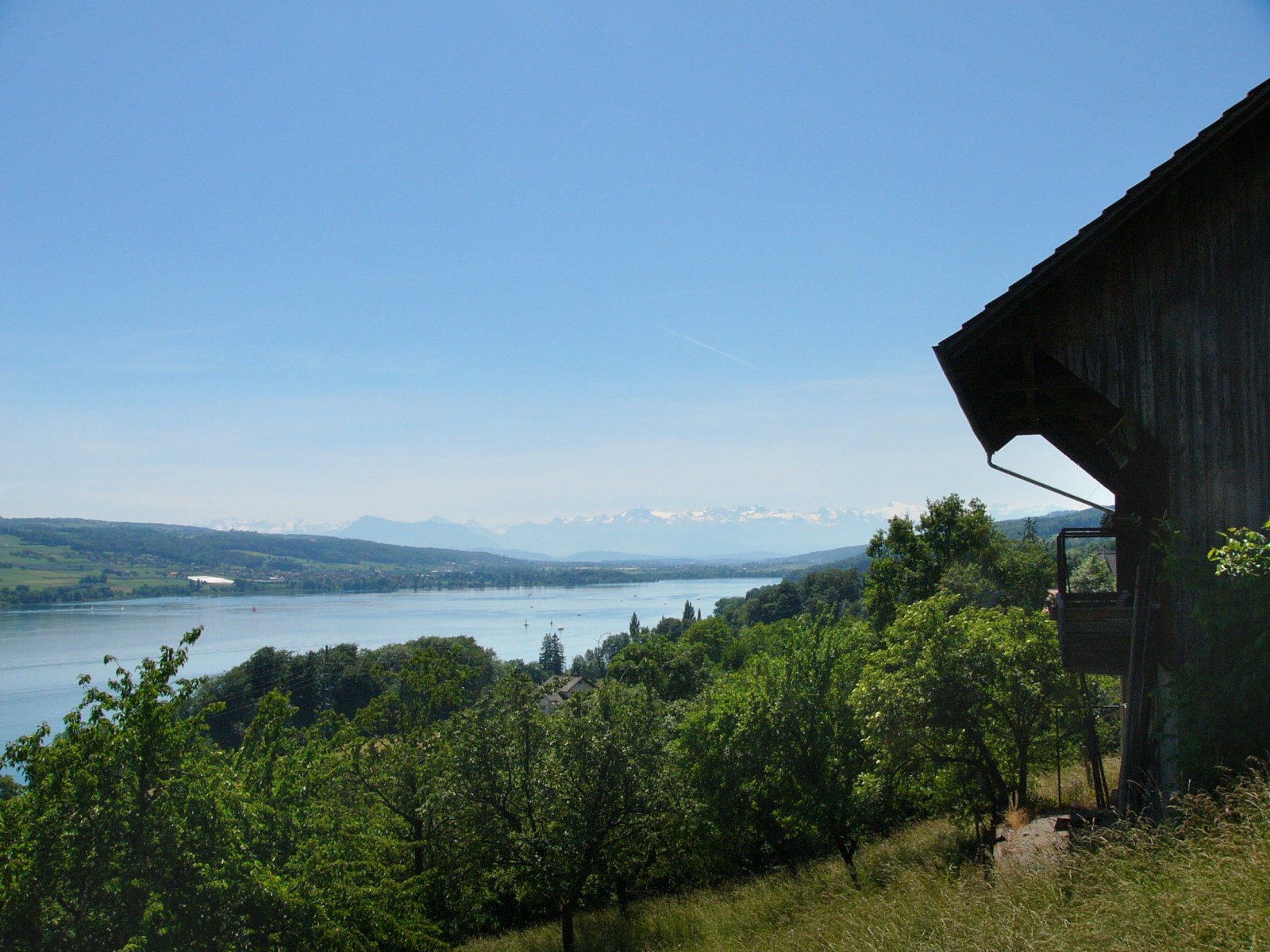 Segelclub Hallwil