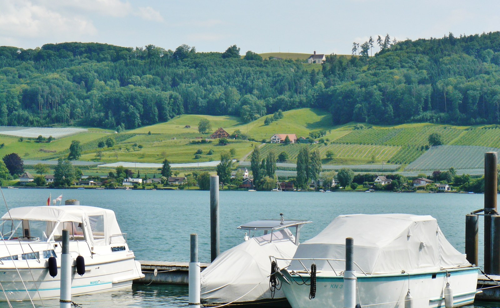 Segelclub Öhningen e.V.