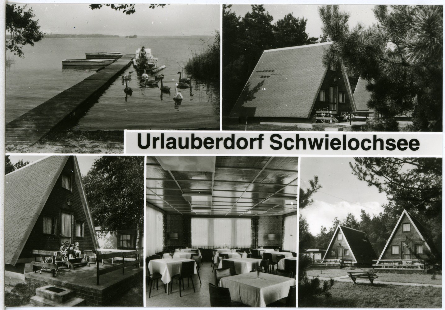 Segelclub Schwielochsee e.V.