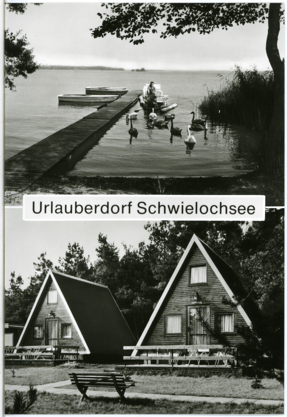 Segelclub Schwielochsee e.V.