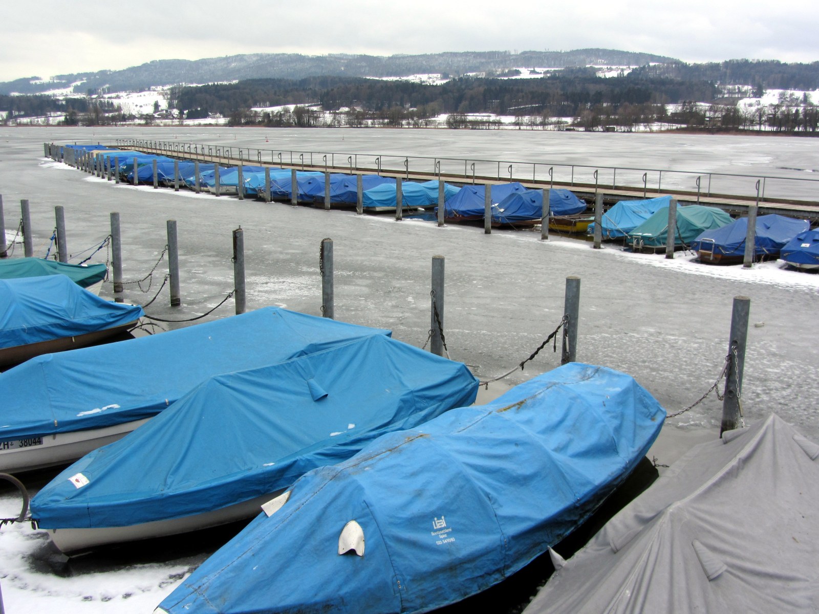 Segelclub vom Greifensee (SCvG)