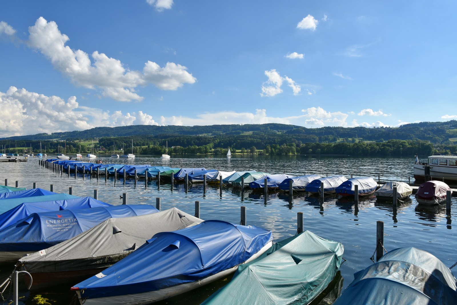 Segelclub vom Greifensee (SCvG)