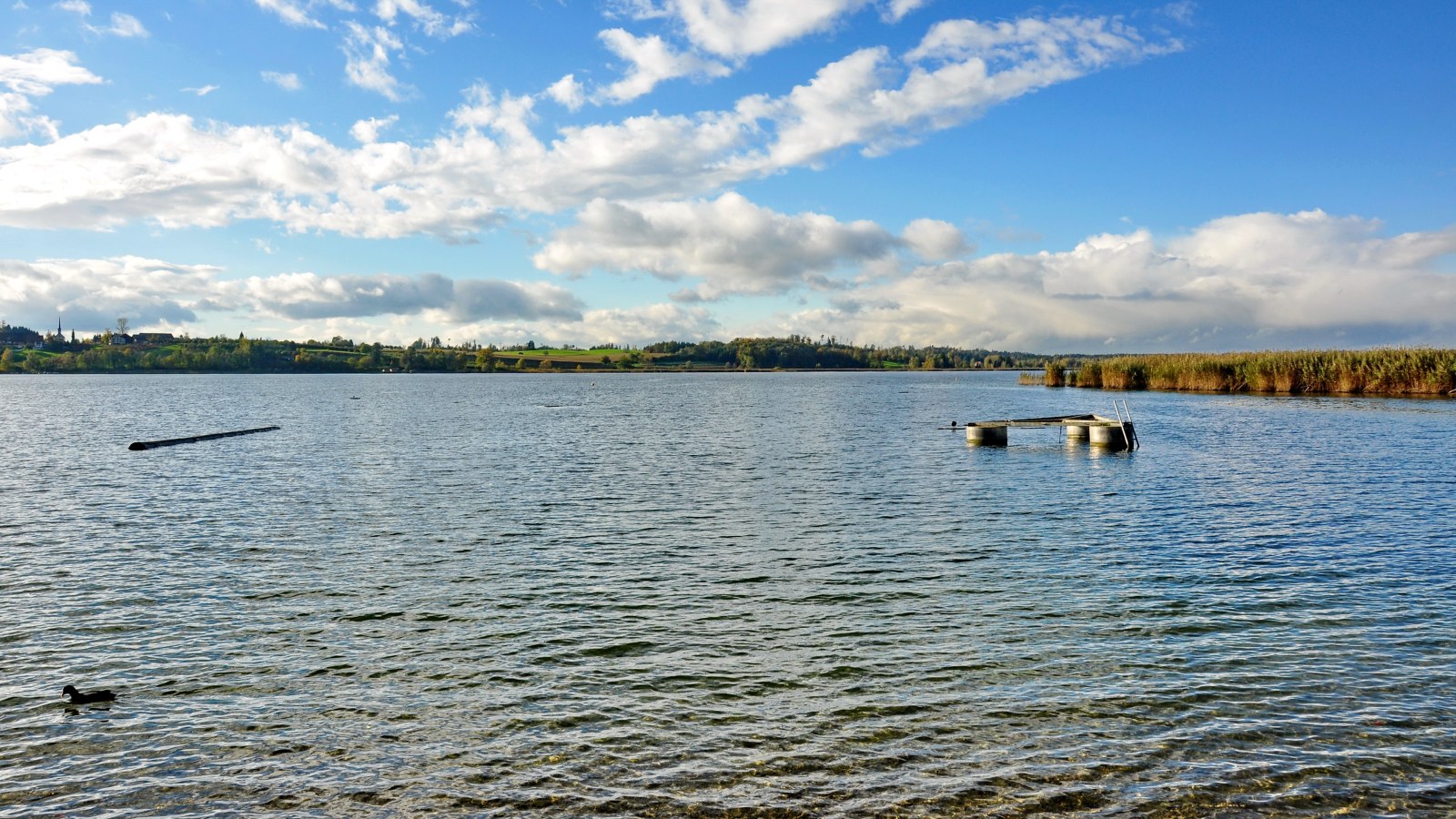 Segelclub am Pfäffikersee (SCaP)