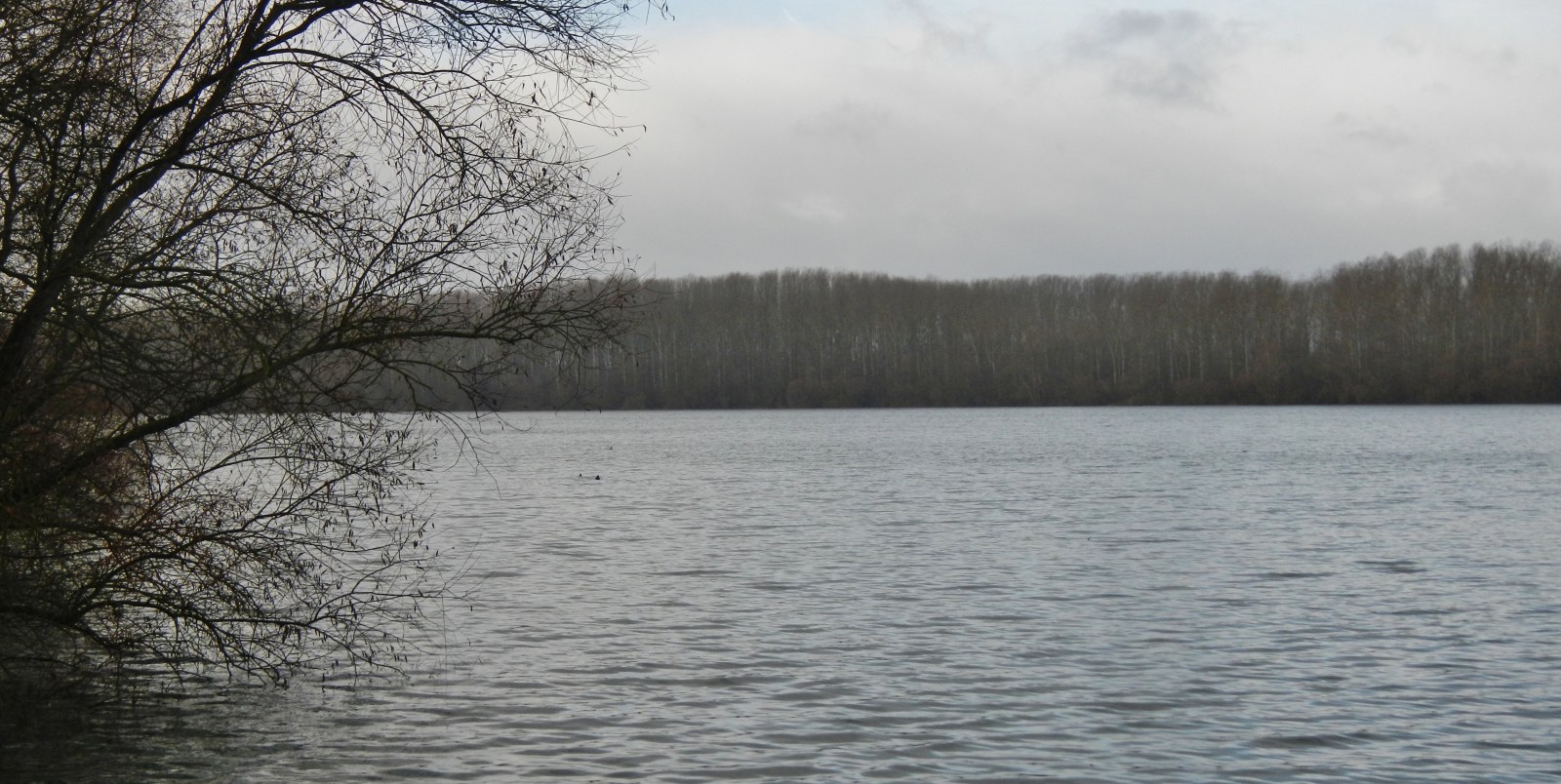 Segelclub Lingenfeld e.V.