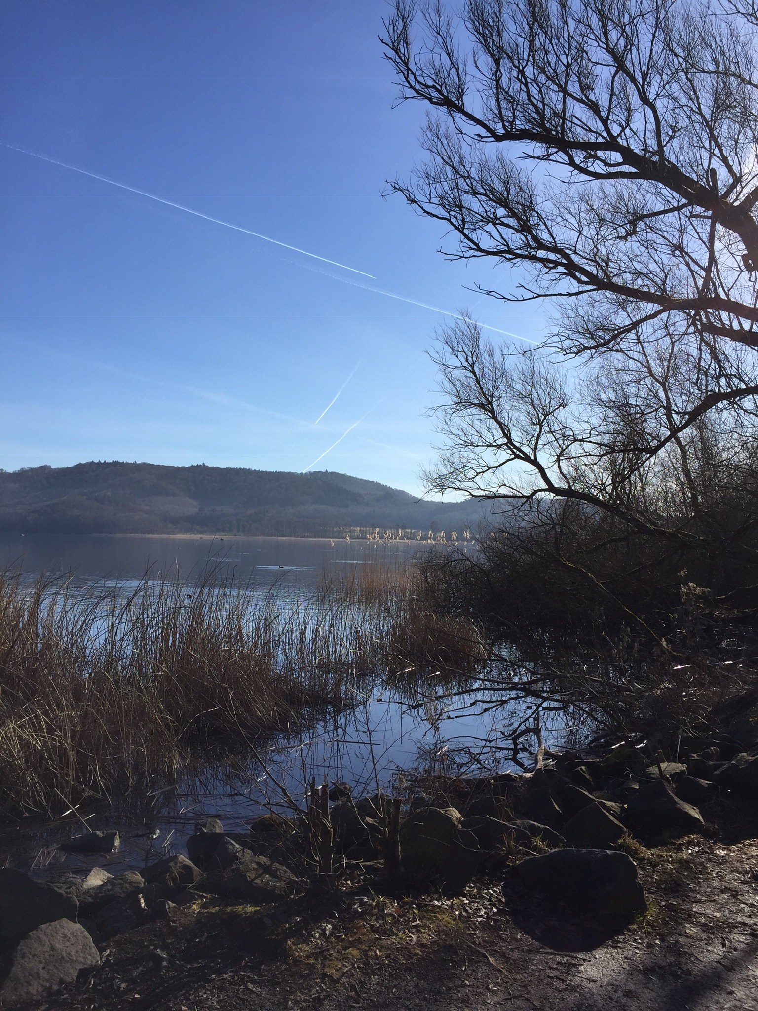 Segel Club Laacher See Mayen (SCLM) e.V.