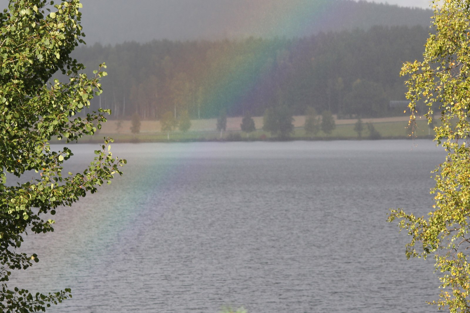 Runns Segelsällskap