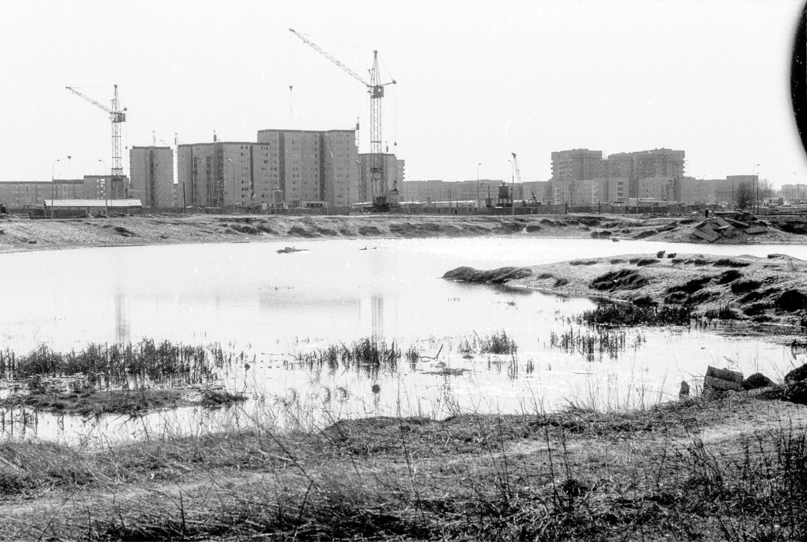 Międzyszkolny Ośrodek Sportowy nr 2 / MKS Dwójka Warszawa