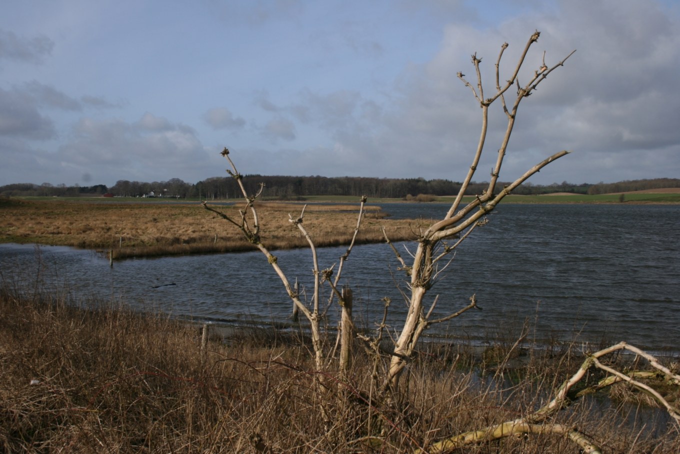 Norsminde Sejlklub