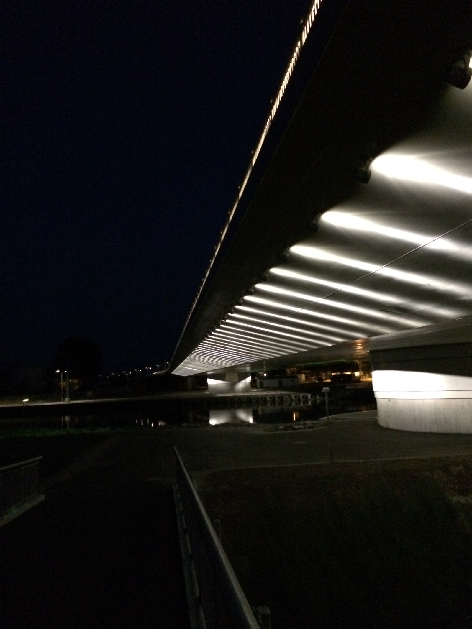 Odense Sejlklub