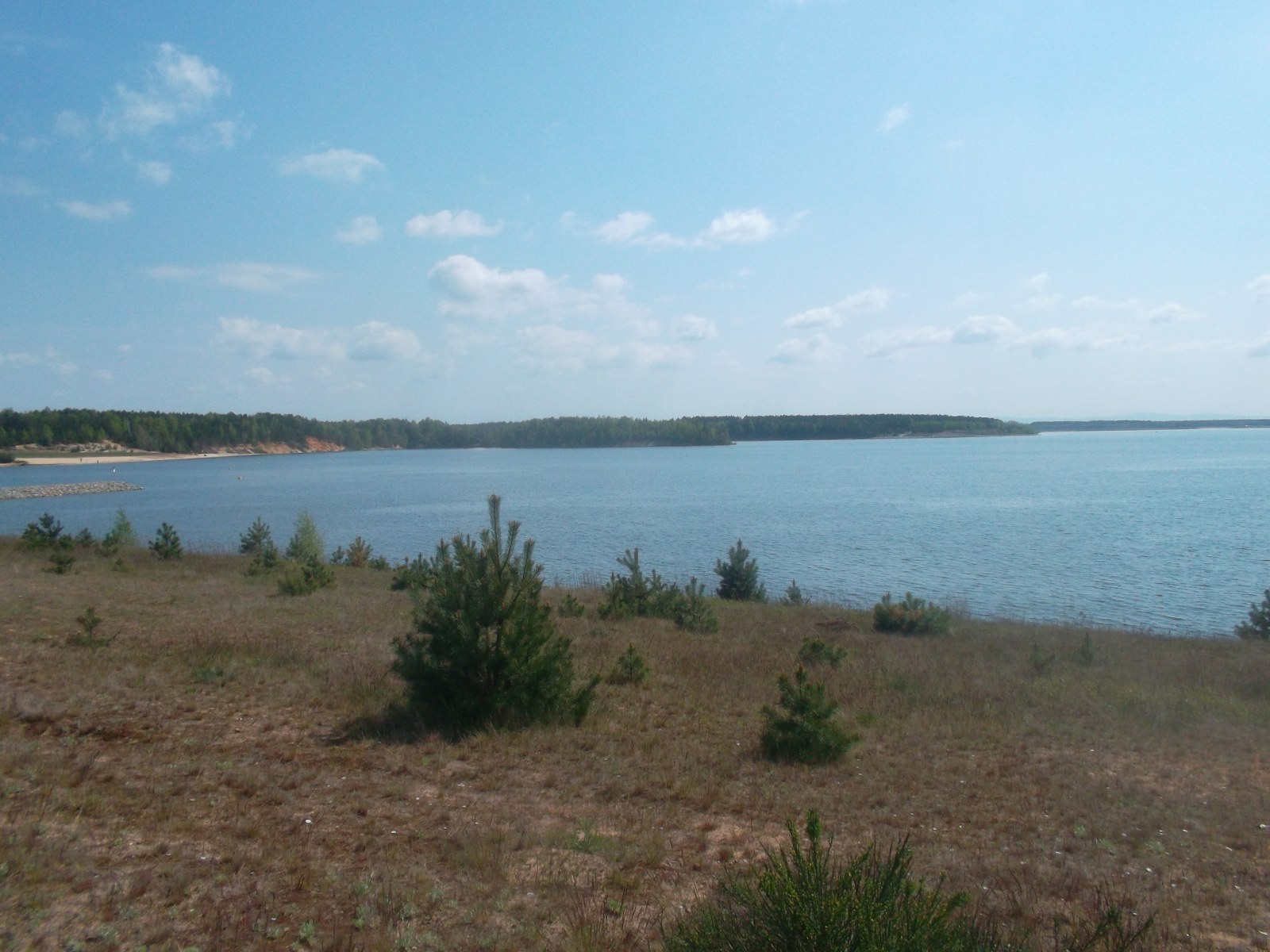 Lausitzer Segelclub – Bärwalder See e.V.