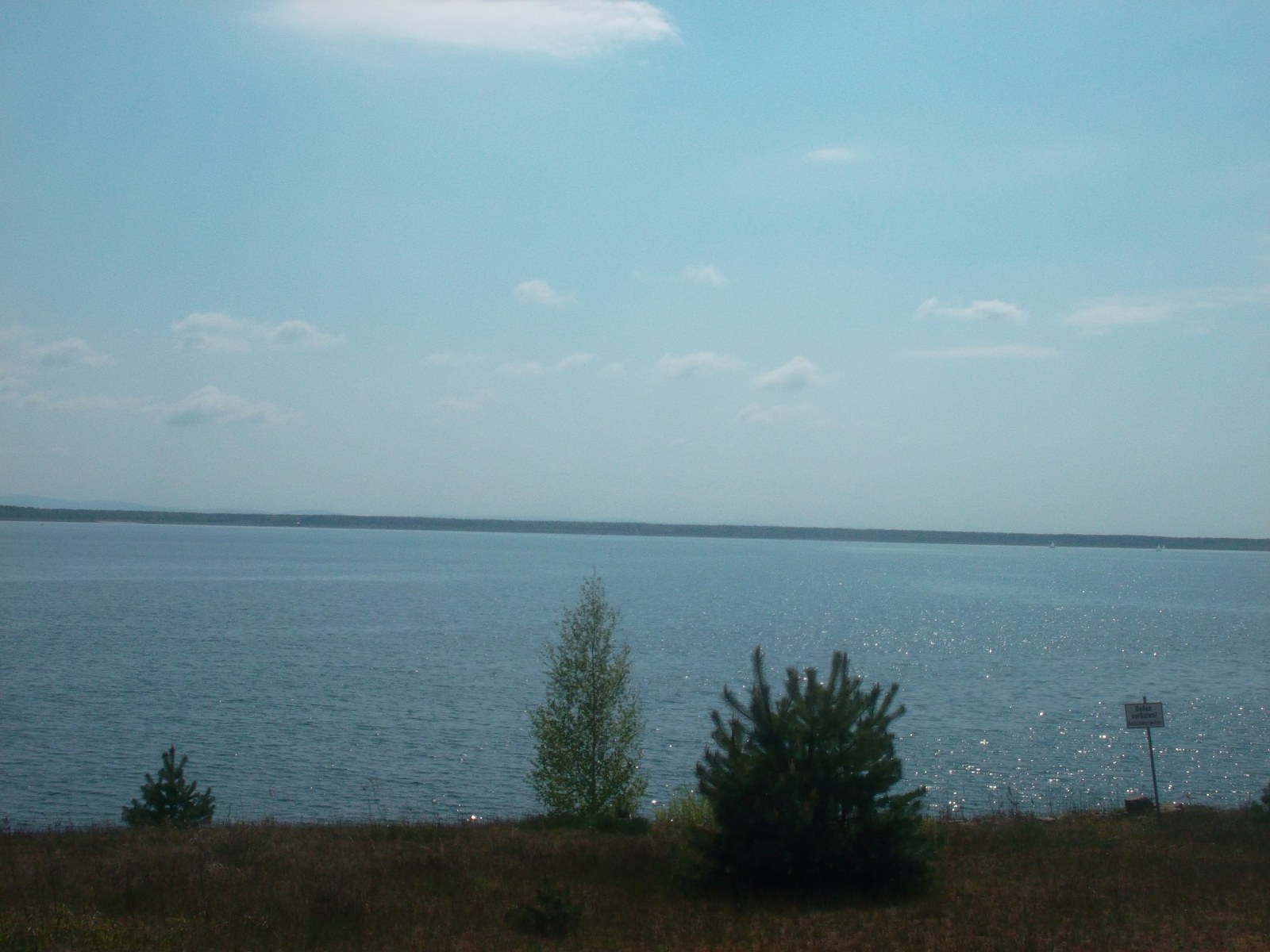 Lausitzer Segelclub – Bärwalder See e.V.