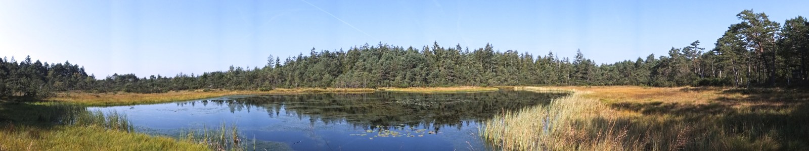 Yachtclub Gollenshausen e.V.