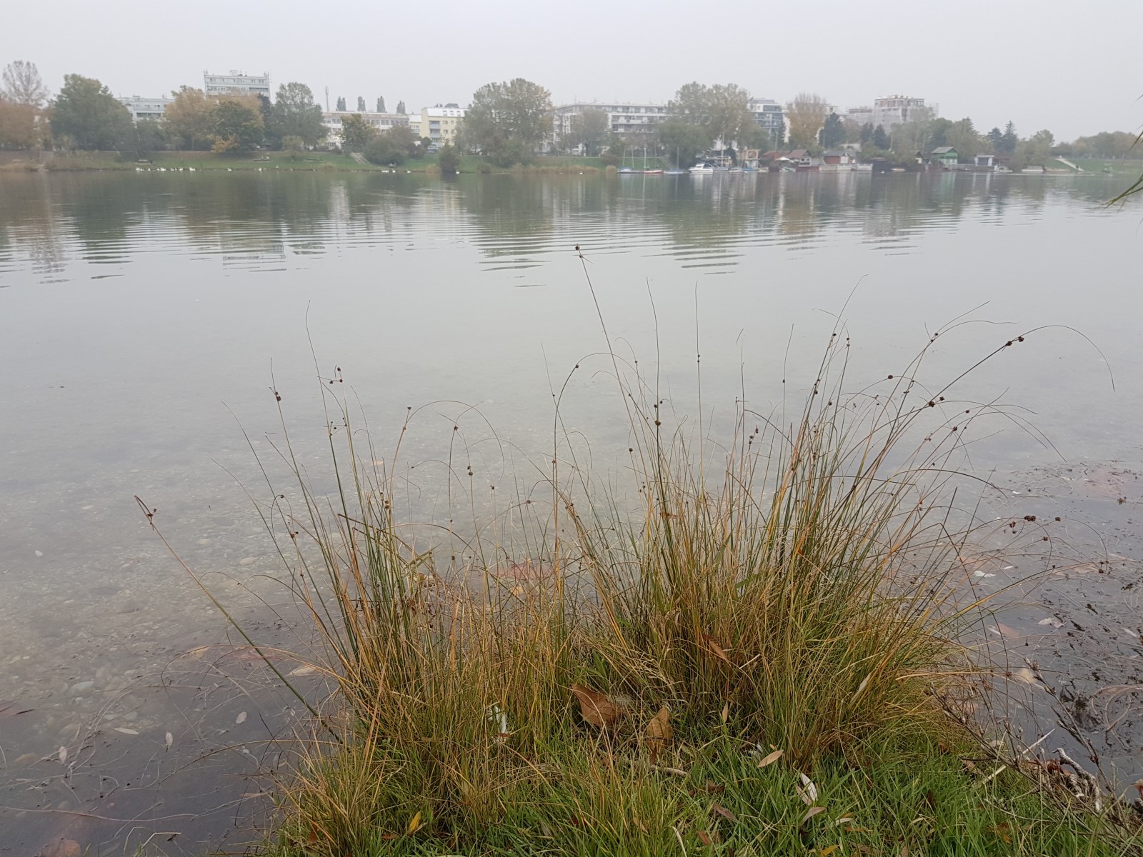 Sportunion Yachtclub Seewind