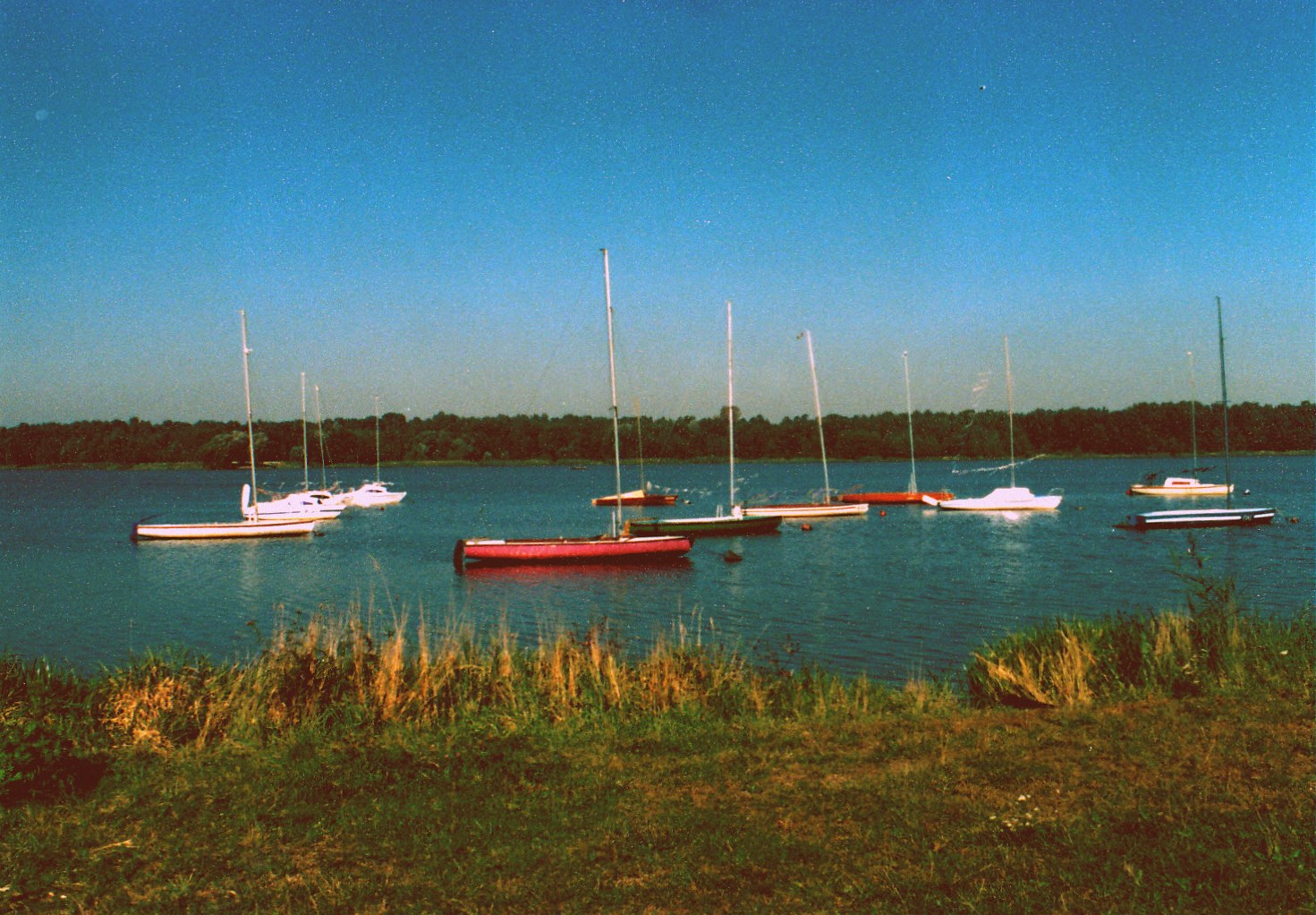 Klub Żeglarski WYGA